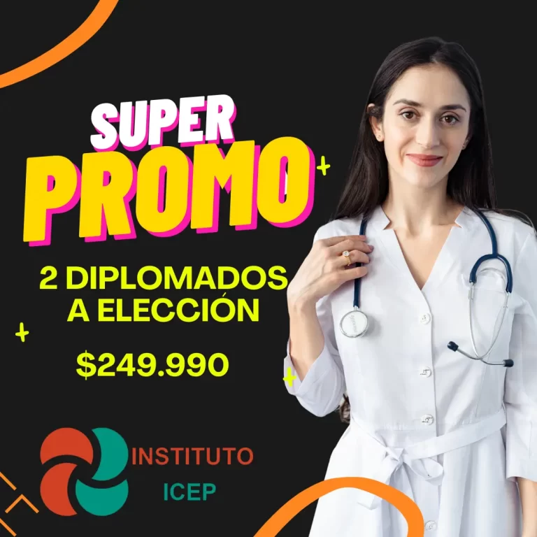 2 Diplomados a elección