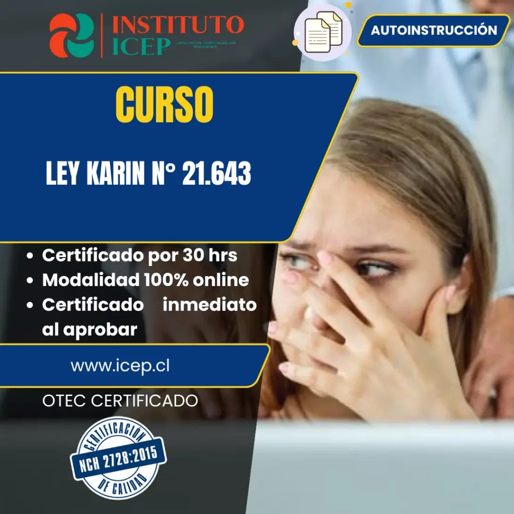 Ley Karin