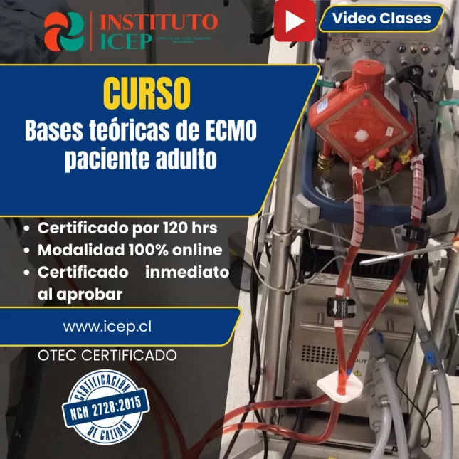 ecmo adulto