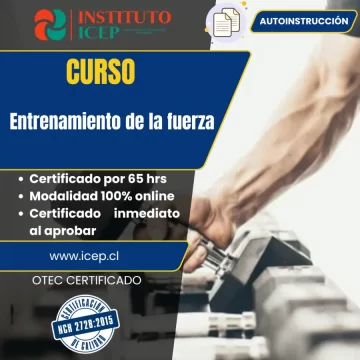 Entrenamiento de la fuerza