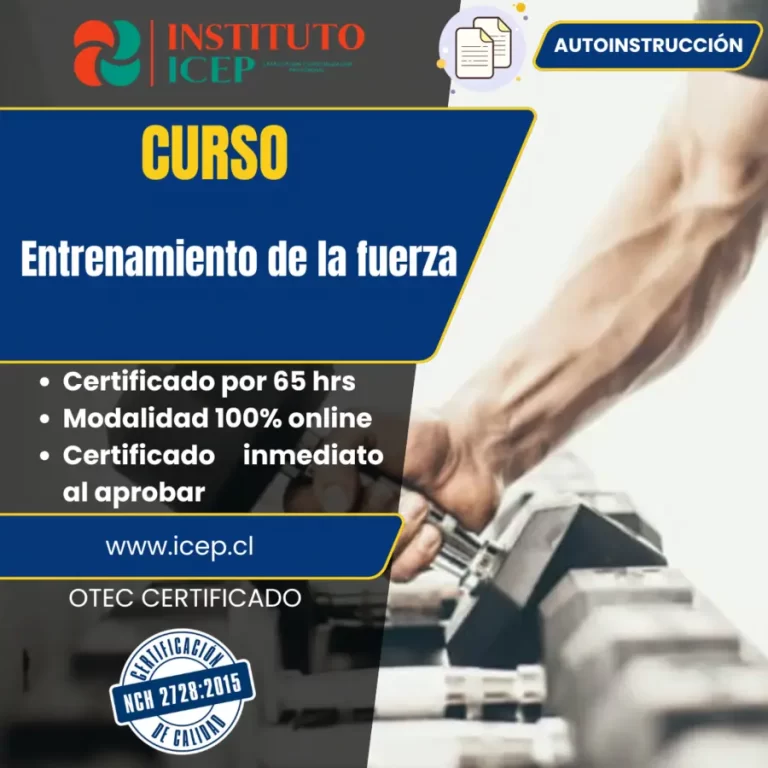 Entrenamiento de la fuerza